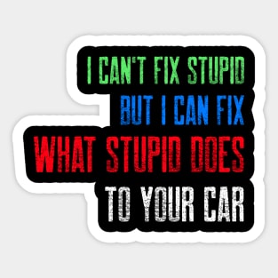 I can't fix stupid. But I can fix what stupid does to your car. Sticker